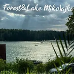 Forest & *