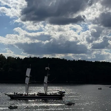 Forest & * Mikołajki