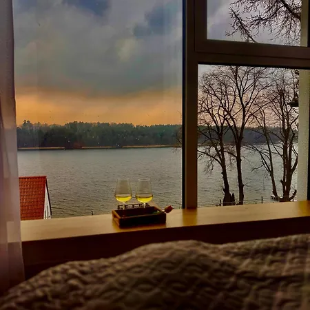 Forest&lake *