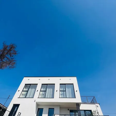 Forest & * Mikołajki