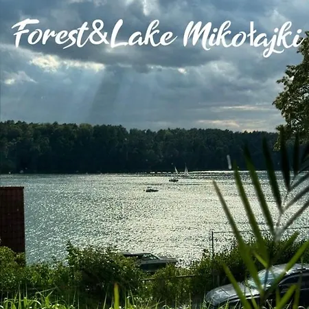 Forest & *