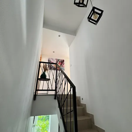 Forest & 别墅 Mikołajki